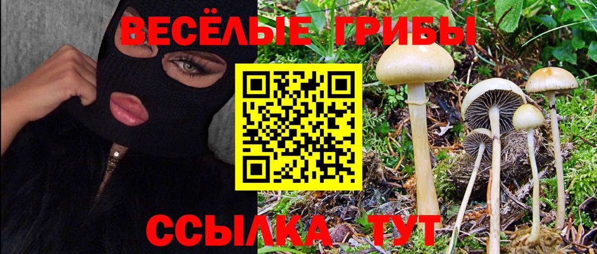 купить закладку  Галлюциногенные грибы Psilocybine cubensis  Вход с VPN  Лесозаводск 